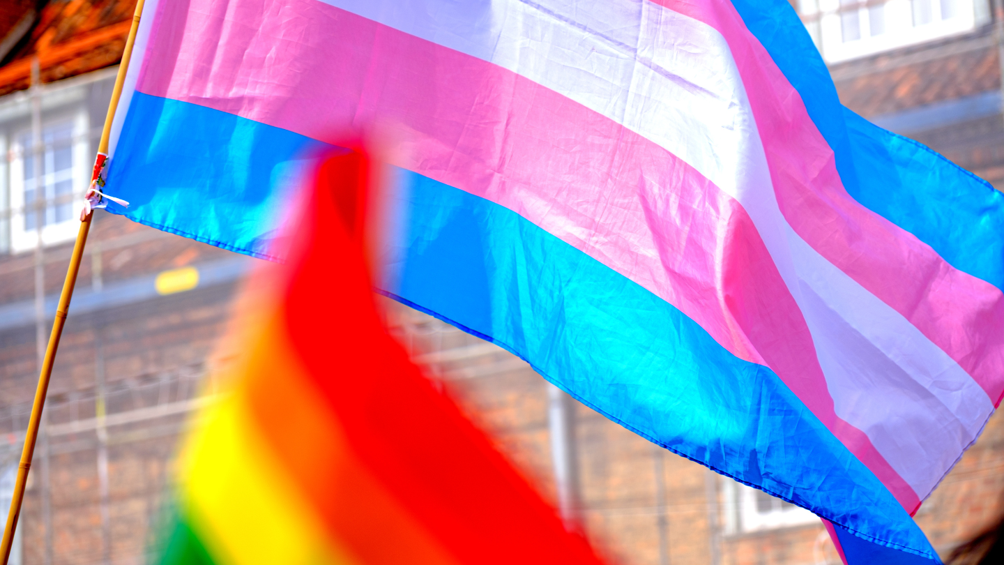 Trans and Pride Flags